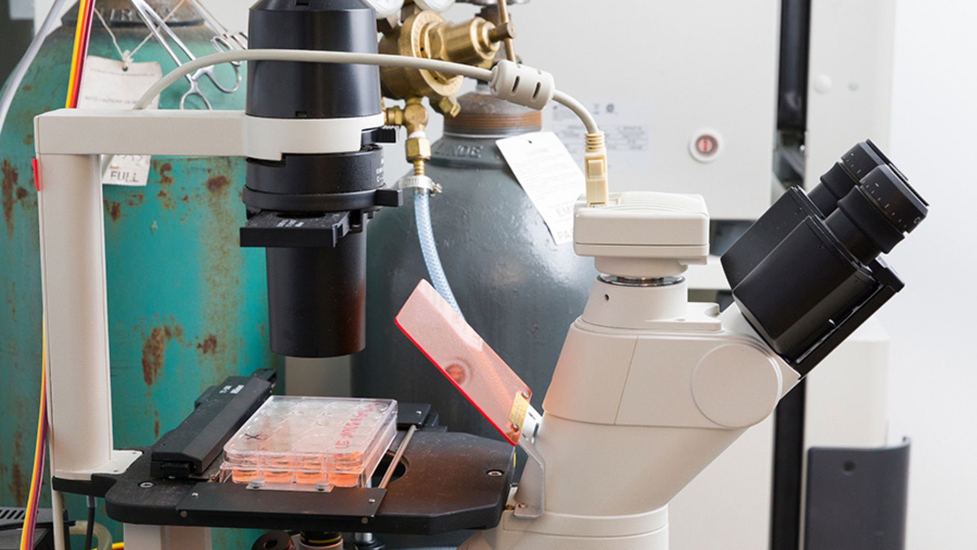New spinning bioreactor turns lab-grown cells into factories of healing vesicles