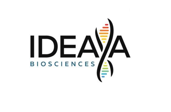 IDEAYA Biosciences Reports Third Quarter 2025 Financial Results and Provides Business Update