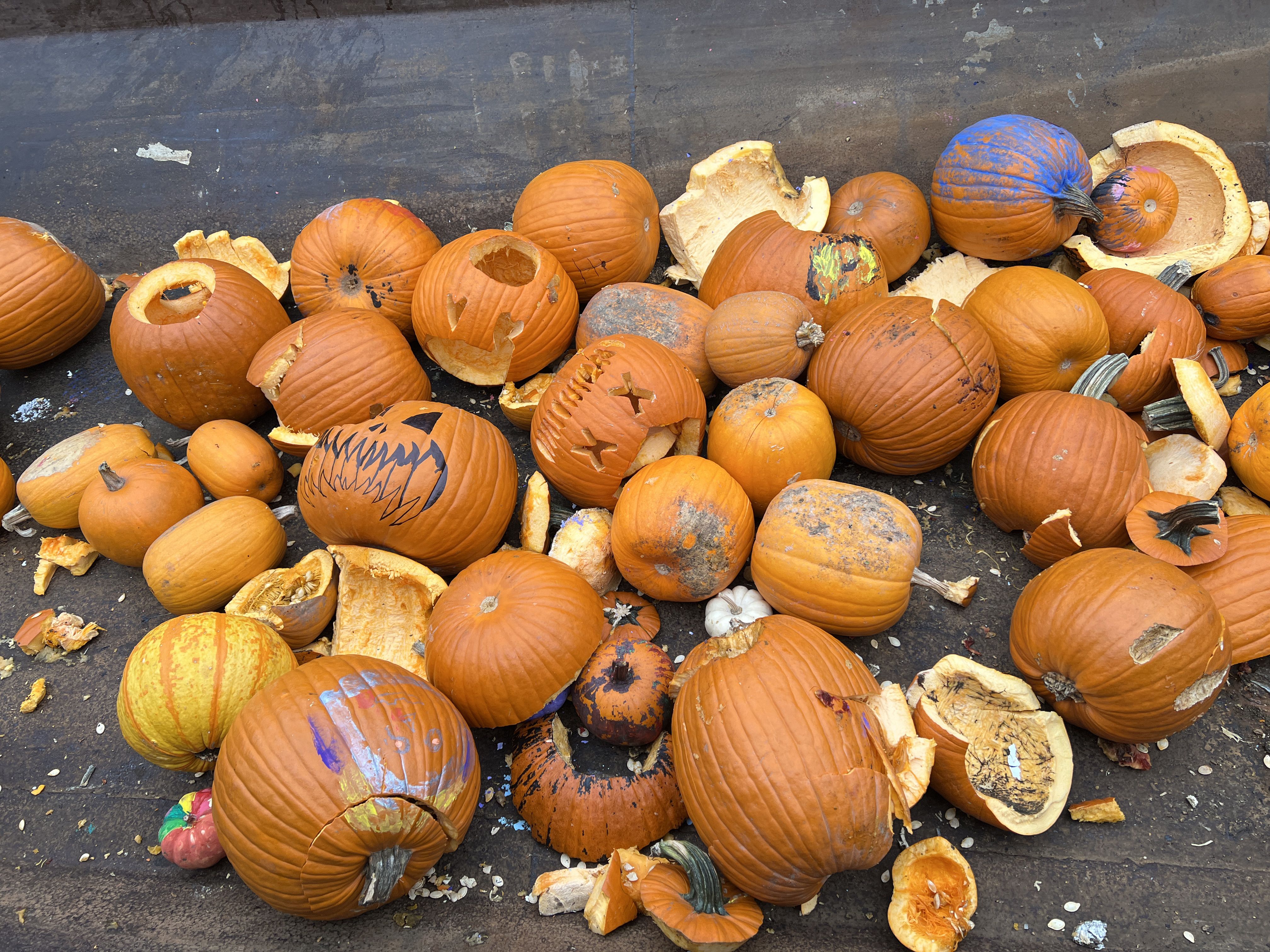 Smash pumpkins in Geneva Saturday