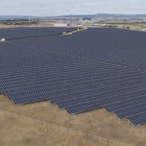 Meridian solar farm at Ruakākā faces challenge over ancestral land