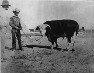 ALL THINGS HISTORICAL: Building a West Texas giant: Christopher Columbus Slaughter and the Long S