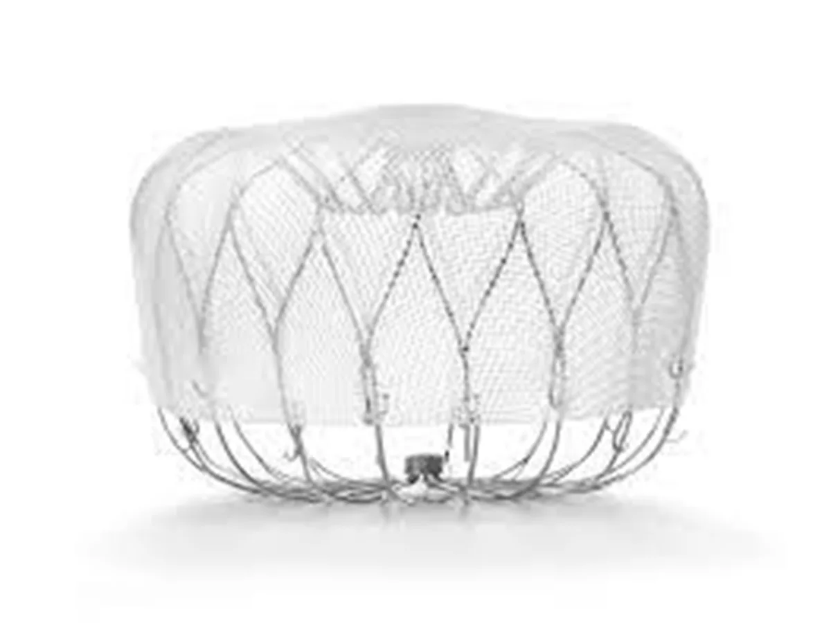 CLOSURE-AF study not the end of the line for LAAC devices