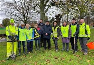 Victoria Park gets a splash of purple